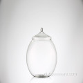 Tafelblad Plantaardig Glas Terrarium